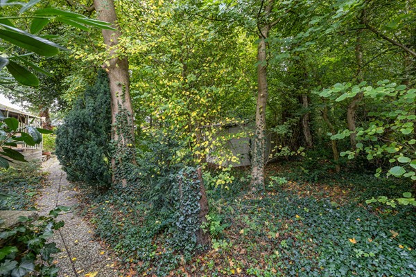 Medium property photo - Noordzoom 48, 8316 CJ Marknesse
